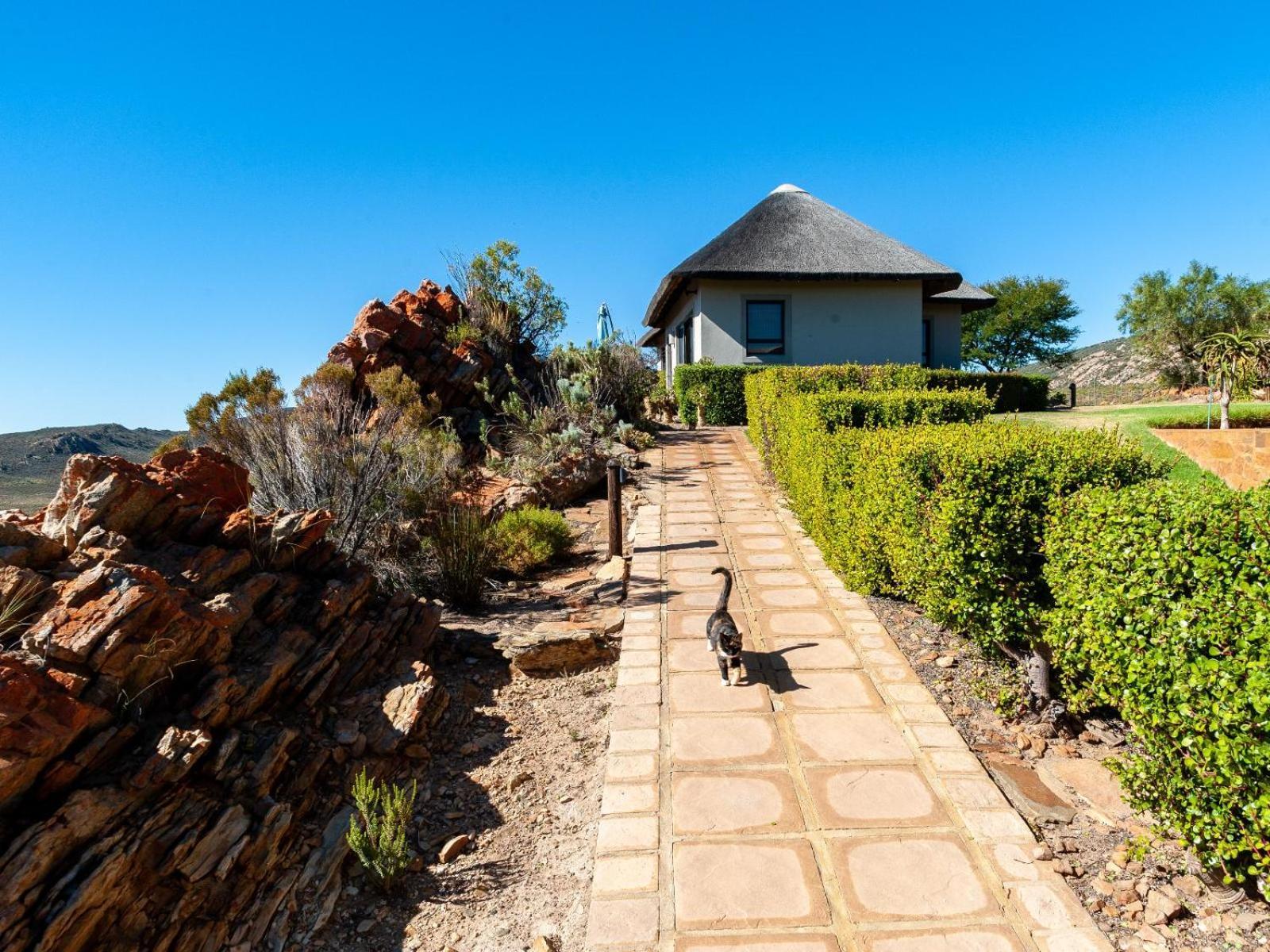 Laingsburg Rooilande Guest Farm Guest House מראה חיצוני תמונה